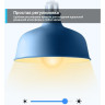 Умная диммируемая Wi-Fi лампа TP-LINK TAPO L510E